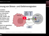 Videoufzeichnung HOPOS Webinar