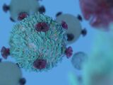 Lymphom- und CLL-Studien