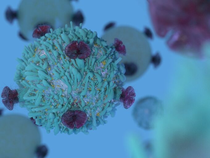 Lymphom- und CLL-Studien